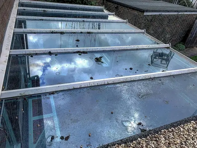 Flat glass roof covered in leaves and marks